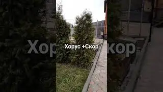 18 марта 2024 г.