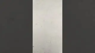 Кулиева кососу бишкек кыргызыстан