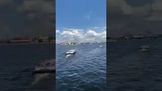Вид с Дворцового моста на Зимний дворец #санктпетербург #питер #ленинград #зимнийдворец #shorts