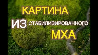 Картина из стабилизированного мха