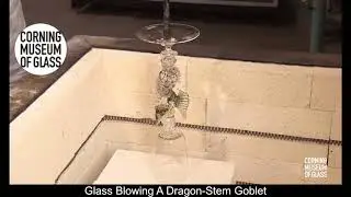 THE CRAZIEST VIDEO YOU WILL SEE EVER #3