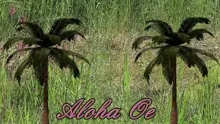 AlohaOe