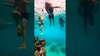 Gili Islands | Gili island Bali | diving in Gili Island | sea diving in Bali