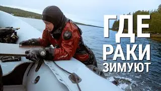 Где раки зимуют. ББС