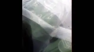 Бузова в будущем