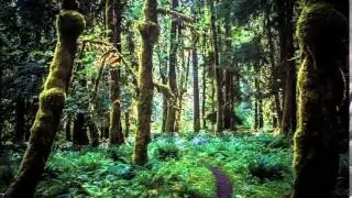 Kevin Kern - The Enchanted Garden