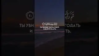 Аяты из суры «Инсан» (76)