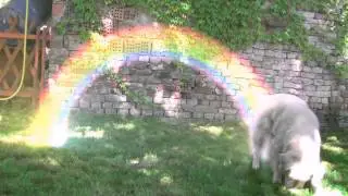Rainbow at home
