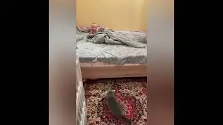 Как мило! С детства не разлей вода! 😃