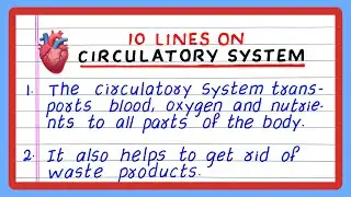 FEW LINES ABOUT THE CIRCULATORY SYSTEM | 5 | FIVE | 10 LINES ABOUT THE CIRCULATORY SYSTEM