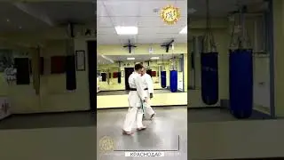 Дзю иппон кумите Вариант 18