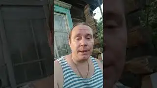 из жизни