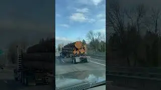 Nice load of logs! 