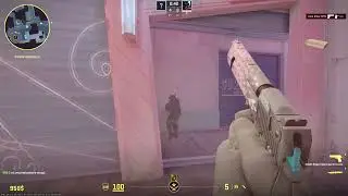 CS2 my wingman be like: