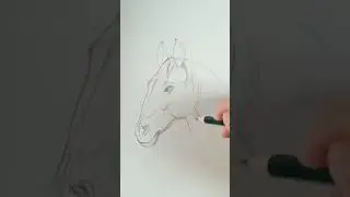 Породистая лошадь реалистично🐎