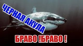 WARFACE ЧЕРНАЯ АКУЛА