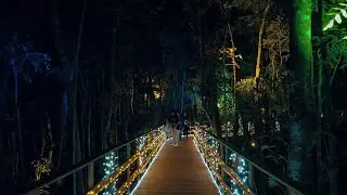 CHRISTMAS ILLUMINATED STREET BRAZIL 4K