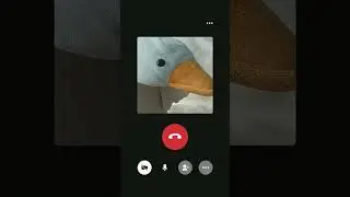 тот самый друг