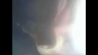Neguinho comendo ração
