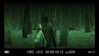 Лес. Технохорор