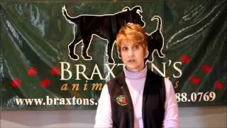 Main Philadelphia Pet Pros: Cindy Baker