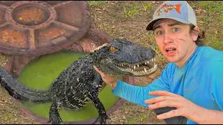 I Accidentally Caught an Alligator in a Sewer!