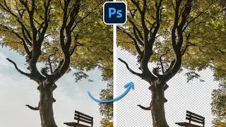 Remove Background from Difficult Image