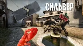 [МОНТАЖ] CS:GO - сильвер