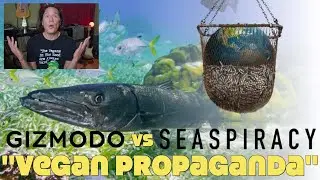 Fishless Oceans By 2048? Fact Checking Seaspiracy (& Gizmodo's Debunk)