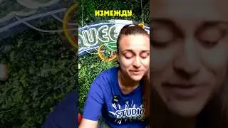 СТУДИОТО СЕ СМАЛЯВА!!