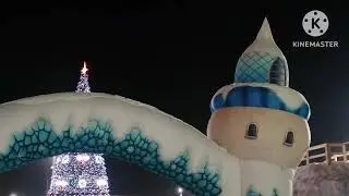 Городские ёлки!