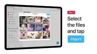 How to Convert JPG to PDF on iPhone & iPad – the Easiest Way