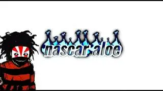 nascar aloe: I throw a fit