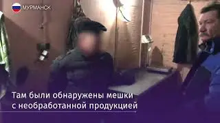 Камчатские пограничники пресекли незаконную добычу краба