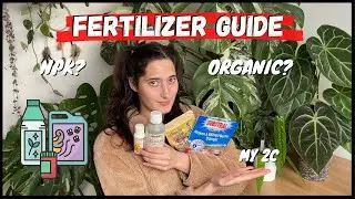 FERTILIZER GUIDE (1/2): Everything you need to know!