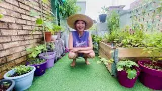 [제5회 농업·농촌 영상 공모전 수상작] 패션 디자이너 도시농부가 되다 _김경준