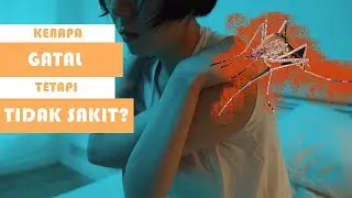 Mengapa Gigitan Nyamuk Terasa Gatal Sekali Tetapi Tidak Sakit