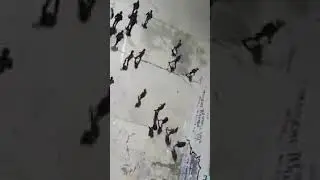 في خاطر الكحلوشة  و رجال الافريقي جملة .... يا ساحلي يا حاوي