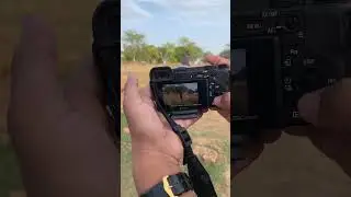 Sony A6400 with 18-135 lens photography test📸 