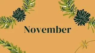 November Recap 2021 | The Monthly Series