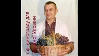 Сім перспективних форм винораду для західної України.