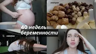 мои 40 недель беременности: утро, тренировочные схватки, завтрак, мой вес, отеки, покупки|это влог