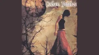 Bir Yiğit Gurbete Gitse
