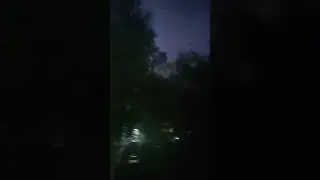 5 июля 2024 г.