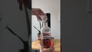 Нашите любими клиенти!