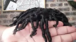 COMO DEFINIR EL CABELLO AFRO RIZADO / TEXTURA 4c con SABILA