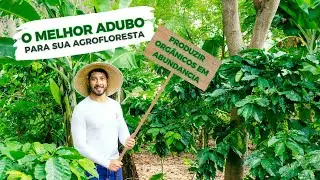 O MELHOR ADUBO PARA SUA AGROFLORESTA PRODUZIR ORGÂNICOS EM ABUNDÂNCIA