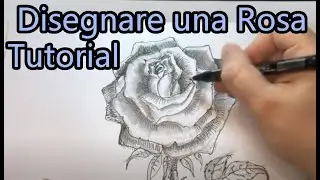 Disegnare una Rosa aperta Sbocciata Tutorial