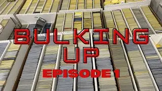 Ep #1: Bulking Up Our TCGPlayer Inventory: Build Back Better