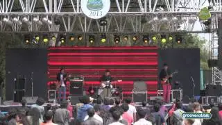 THE SHAKEY RAYS LIVE at the GOMAD festival song 2
